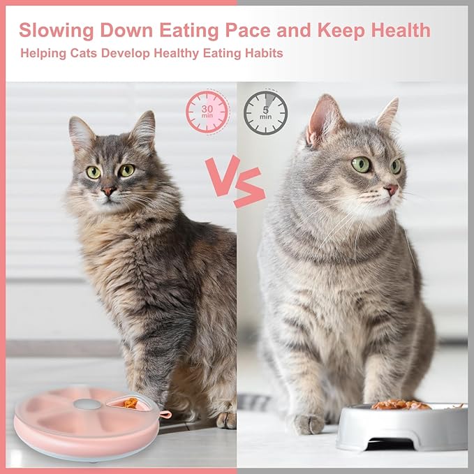 Interactive Cat Treat Toys, Food Puzzle, Maze Feeder Toys for Indoor Cats and Kittens (Pink)
