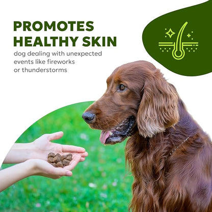 Dog Allergy & Itch Relief Soft Chews – Omega-3, Biotin, Collagen, Fish Oil – Reduces Shedding, Supports Healthy Skin & Coat, Year-Round Allergy Comfort – 60ct