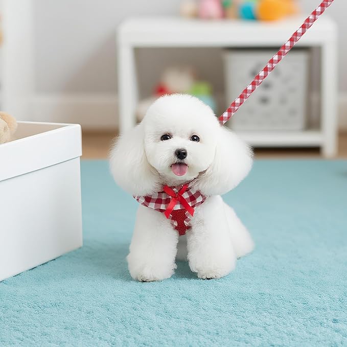 EXPAWLORER Cute Dog Harness Collar Leash Set - Red Girl Dog Harness Checkered Step-in Design, Detachable Bow Pet Collar, Adjustable No-Choke Lightweight Mesh Vest for Small Medium Dogs, M