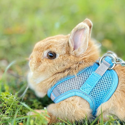 Rabbit Harness and Leash Set Escape Proof, Adjustable Soft Padded Vest, Breathable Mesh Bunny Harness with Reflective Strap, Safe for Small Animals(Blue,S)