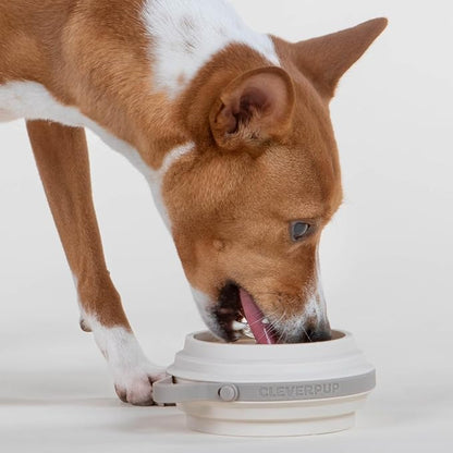 Cleverpup Nomad Small Collapsible Travel Dog Bowl - 2 Cup BPA-Free Silicone for Small & Medium Dogs, Portable, Sturdy, Food & Water, Dishwasher Safe - Sand