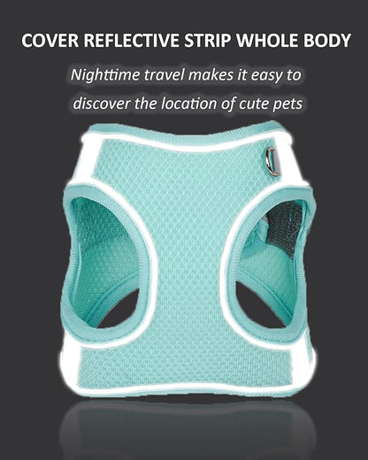 Solmoony Dog Harness for Small Medium Dogs No Pull, Puppy Harness and Leash Set, Puppy Harness, Step in Harness for Small Dogs,mesh Dog Harness. (Black, S)