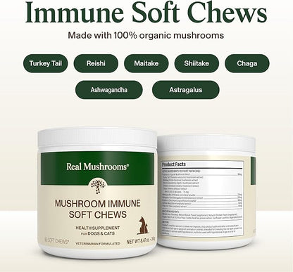 Real Mushroom Immune Pet Chews – For Daily Digestive & Immune Health – Mushrooms for Dogs & Cats Functional Treat – Mushroom Supplement for Dogs & Cats – 1 to 4 Chews For All Breeds & Sizes (60 Count)