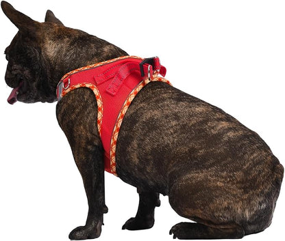 AMTOR Small Dog Harness with Leash Set, No Escape Easy Walk Puppy Harnesses for Training Walking, Step-in Reflective Soft Dogs Vest for XS S Medium Extra-Small Large Sized Dog(Red,L)