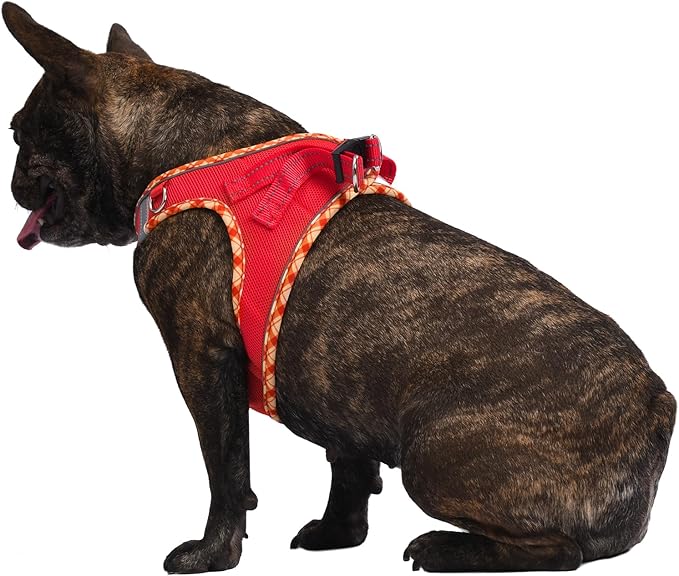 AMTOR Small Dog Harness with Leash Set, No Escape Easy Walk Puppy Harnesses for Training Walking, Step-in Reflective Soft Dogs Vest for XS S Medium Extra-Small Large Sized Dog(Red,S)