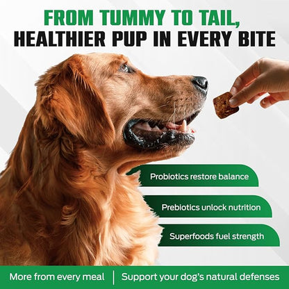 K10 Probiotic Chews for Dogs (10ct) – Advanced Digestive Support with Probiotics, Prebiotics & Superfoods – Vet-Preferred Dog Supplement for Digestion, Immunity, Skin, Coat & Everyday Vitality