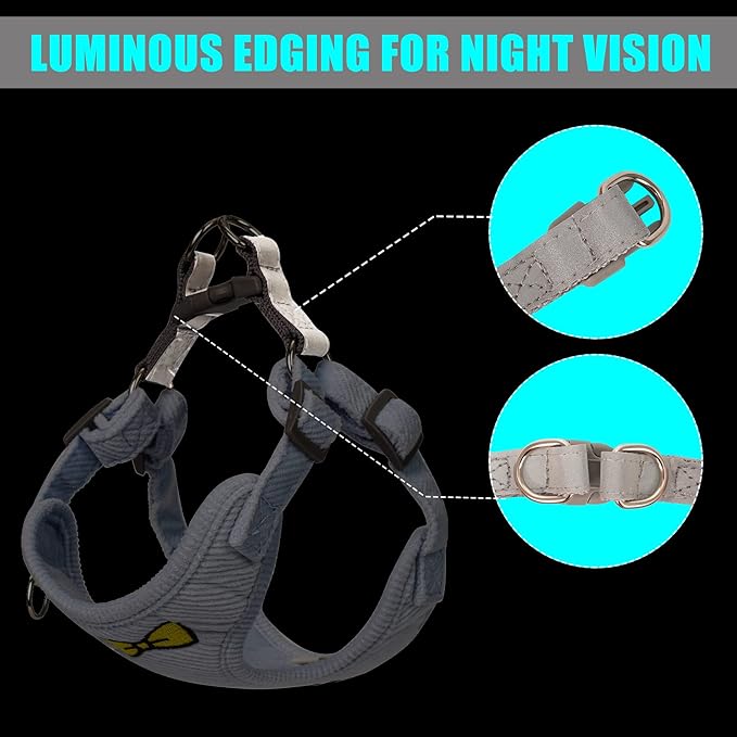No Pull Dog Harness with Leash Pet Soft Vest Harness and Leash Set Dog Cat No Choke Escape Proof Harness Reflective Step in Harness for Small Medium Dogs Cats (Baby Blue, Medium)
