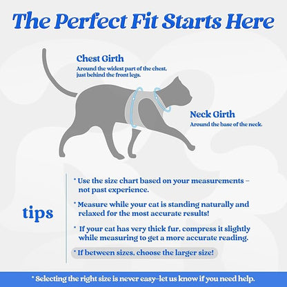 rabbitgoo Cat Harness and Leash Set for Walking Escape Proof, Adjustable Soft Kittens Vest with Reflective Strip for Cats, Comfortable Outdoor Vest, Blue, XL