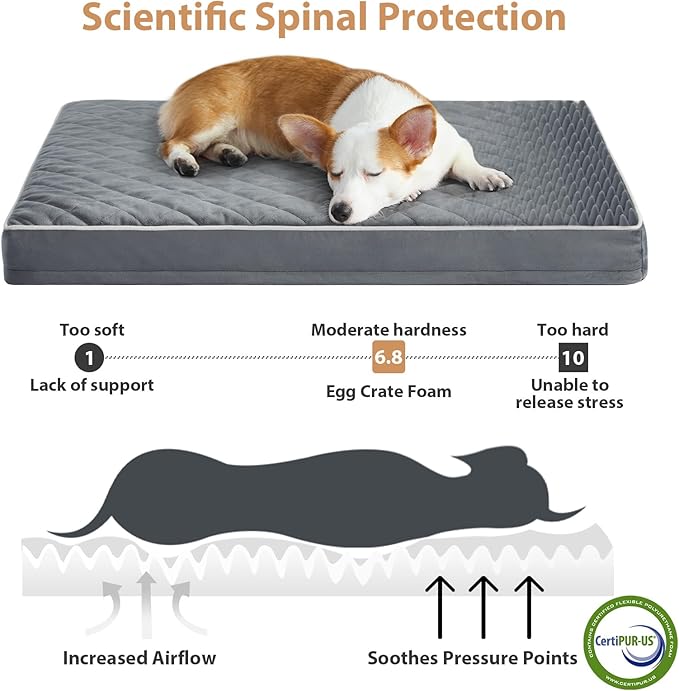 WNPETHOME Orthopedic Big Dog Beds Large Sized Dog, Waterproof Extra Large Dogs Bed with Removable Washable Cover, Multi-Needle Quilting Dogs Crate Bed