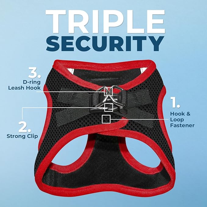 Best Pet Supplies Voyager Step-in Air All Weather Mesh Harness and Reflective Dog 5ft Leash Combo with Neoprene Handle, for Small, Medium and Large Breed Puppies - Set (Red Trim), X-Small