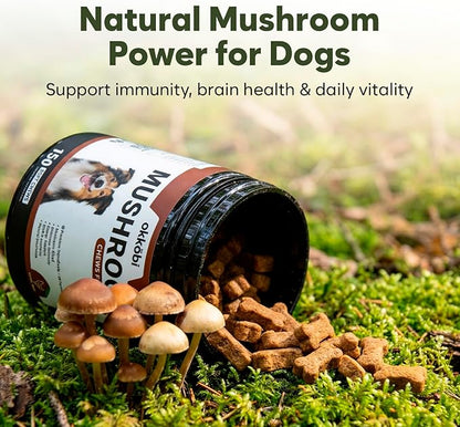 Premium Mushroom Chews for Dogs - 5-in-1 Turkey Tail, Lion’s Mane, Chaga, Reishi & Shiitake - Immune Support & Cognitive Health Mushroom Supplement for Dogs - for Heart, Liver & Brain Function