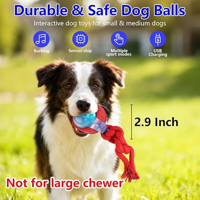 Oxawo Interactive Dog Toys Pet Busy Balls Wiggles Ball for Medium & Small Dogs Keep Dogs Busy
