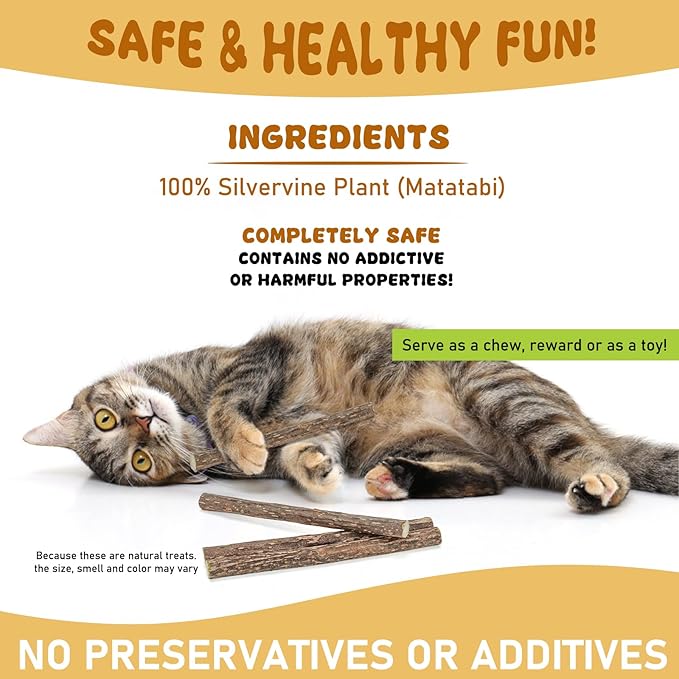 WoLover Silvervine Sticks for Cats, Natural Catnip Matatabi Chew Sticks Teeth Molar Chew Toys for Cat Kitten Kitty (at Least 12 PCS)