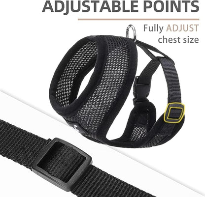 PUPTECK Soft Mesh Dog Harness and Leash Set Pet Puppy Cat Comfort Padded Vest No Pull Harnesses, Solid Black, XS