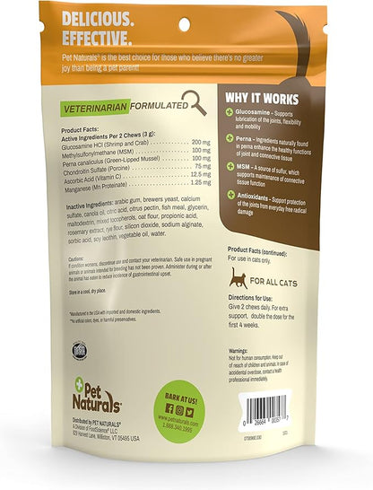 Pet Naturals Hip and Joint Supplement with Glucosamine, Green-Lipped Mussel, and Chondroitin for Cats, Duck Flavor, 160 Chews