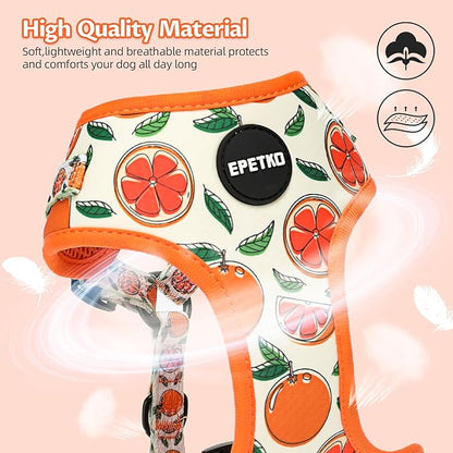 Small Dog Harness and Leash Set of 6, No Pull Soft Lightweight Mesh Puppy Harness， Adjustable Cute Floral Pattern Pet Harness for Small Medium Dogs (Orange, S)