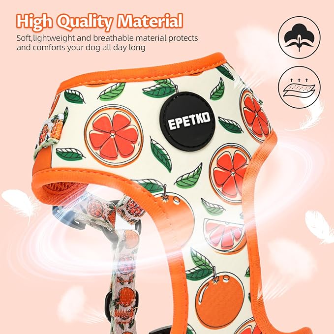 Small Dog Harness and Leash Set of 6, No Pull Soft Lightweight Mesh Puppy Harness， Adjustable Cute Floral Pattern Pet Harness for Small Medium Dogs (Orange, M)