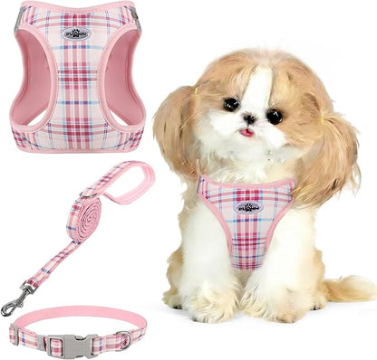 Gyuzh Small Dog Harness and Leash Set for Puppy & Kitten - 3-in-1 No Pull Step in Vest Collar, Lightweight Reflective Plaid, Padded Handle (Pink, XS)