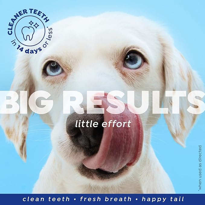 Naturél Promise Fresh Dental Hip and Joint Supplement & Dental Water Additive for Dogs, 18oz Bottle