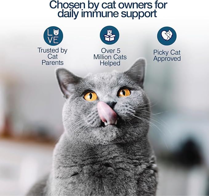 Felisyl L-Lysine Gel for Cats & Kittens (5oz) – Immune System, Respiratory & Eye Health Support. Reduces Sneezing, Runny Nose & Watery Eyes. Daily Salmon-Flavor Supplement – Made in USA (1 Pack)