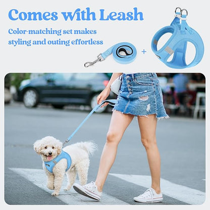 rabbitgoo Dog Harness Small Medium Sized and Leash Set, Step in Soft Light Puppy Vest, Breathable Mesh Pet Harness, Reflective for Safe Easy Walking, Blue XL