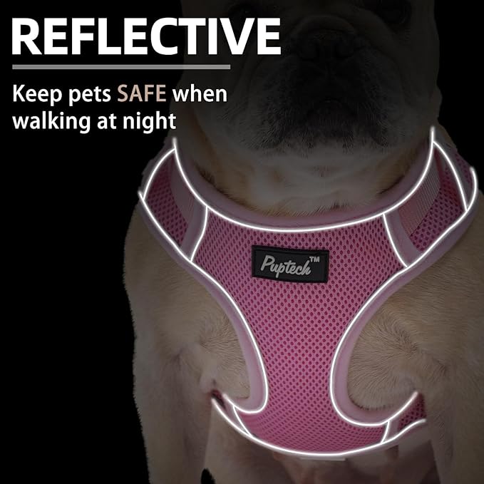 PUPTECK Small Dog Harness and Leash Set, No Pull Adjustable Puppy Cat Harness, Reflective Soft Mesh Pet Vest Small Sized, Pink, M