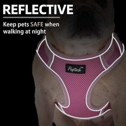 PUPTECK Small Dog Harness and Leash Set, No Pull Adjustable Puppy Cat Harness, Reflective Soft Mesh Pet Vest Small Sized, Pink, M