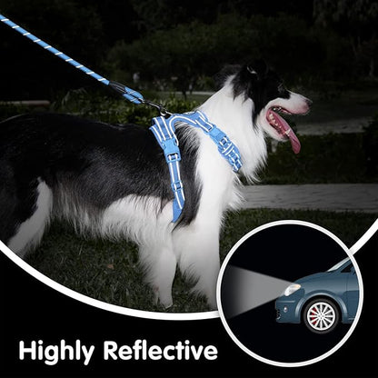 PoyPet No Pull Dog Harness and 5 Feet Leash Set, Release on Neck Reflective Adjustable Pet Vest, Front & Back 2 D-Ring and Soft Padded Pet Harness with Handle for Small to Large Dogs(Light Blue,XL)