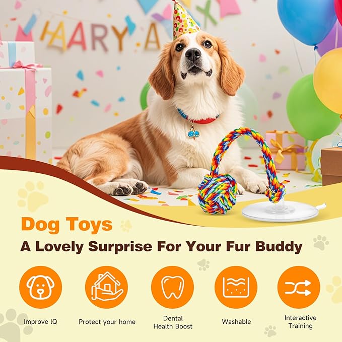 Interactive Dog Toys to Keep Them Busy, Tug of War, Dog Enrichment Toys for Aggressive Chewers, Puppy Teething Toys,Durable Rope & Chew Ball, Indoor Toys Small Dogs，Rainbow