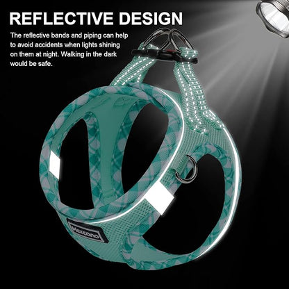 Mercano Soft Mesh Dog Harness and Leash Set, No-Chock Step-in Reflective Breathable Lightweight Easy Walk Vest Harnesses with Safety Buckle for Small Dogs, Cats (Light Green, S)