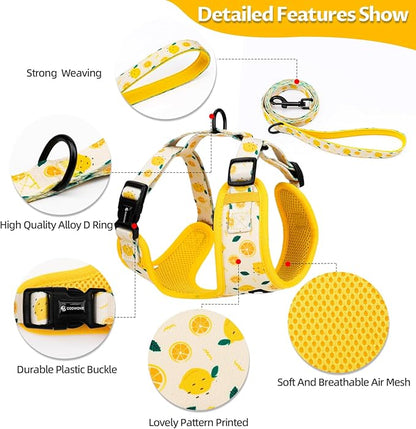 Dog Harness and Leash Set, Adjustable Dog Harness, Dog Leash, No Pull No Choke Puppy Harnesses for Walking Training for Small Medium Large Pet