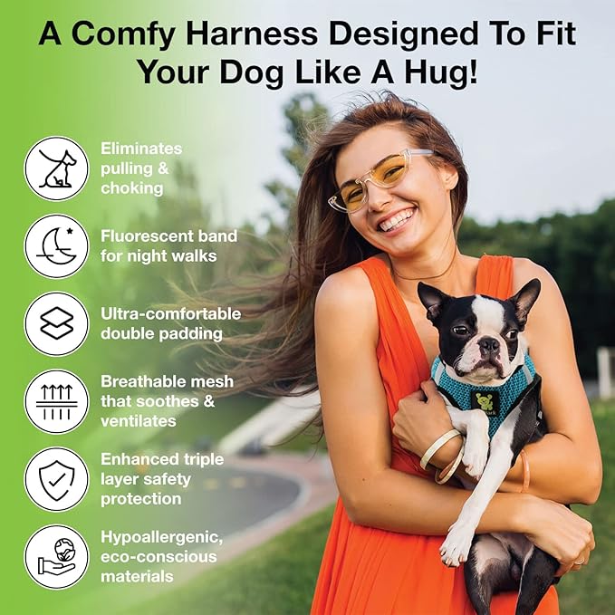 EcoBark Step in Dog Harness - Reflective Soft Luxurious Mesh Dog Harnesses for XXS, XS, Small, and Medium Dogs - Eco-Friendly Comfort Secure Halter No Pull Adjustable Pet Vest (Aqua Sport, XXXS)