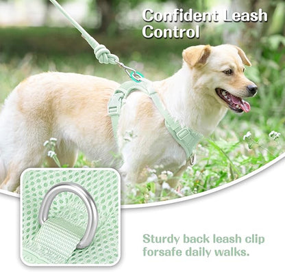 No Pull Dog Harness for Small Medium Large Dogs - Adjustable 2 Layer Mesh Dog Vest with Dual Clip, Escape Proof, Quick Release, Lightweight Breathable Mesh for Walking Hiking (Light Green,XS)