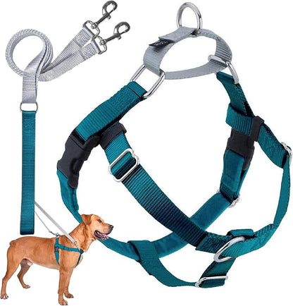 2 Hounds Design Freedom No Pull Dog Harness, Adjustable Harness and Leash Set, Easy Walking & Comfortable Control, Fits Small, Medium & Large Dogs, Solid Colors, Made in USA, 5/8" MD, Teal