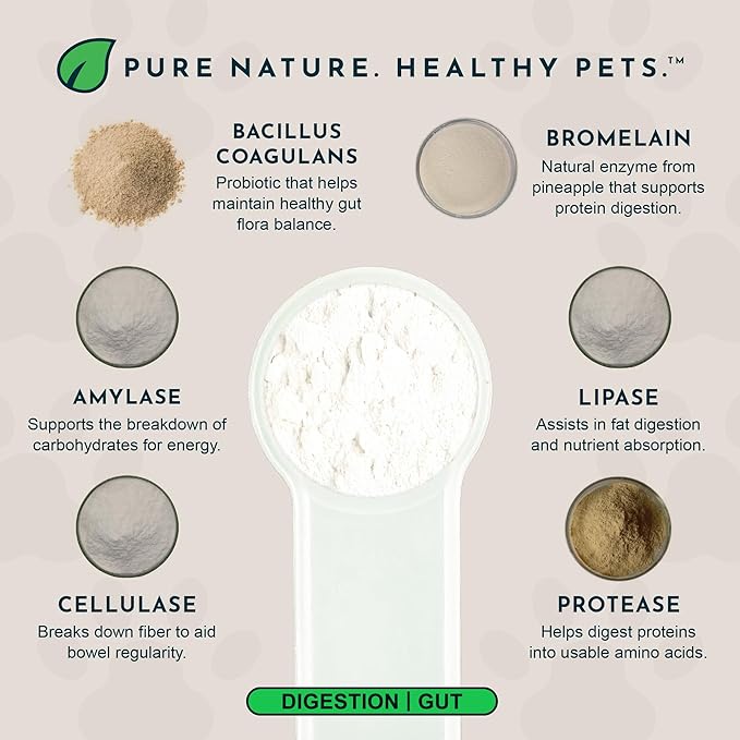 Animal Essentials Plant Enzyme & Probiotics - Probiotics & Digestive Enzymes for Dogs & Cats, Natural Daily Gut & Digestion Support Supplement for Pets, Plant Based - 3.5 Oz