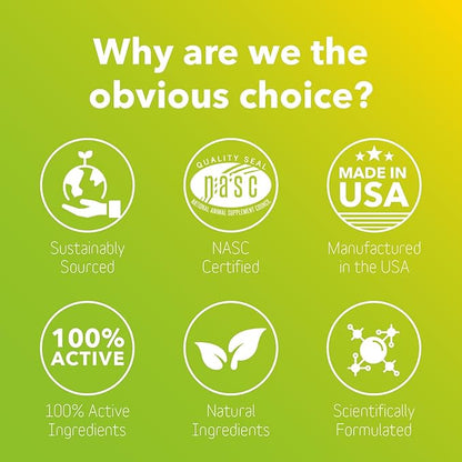 InClover Connectin Natural Hip & Joint Supplement for Dogs with Glucosamine, Chondroitin & Hyaluronic Acid - Soft Chew for Dog Mobility, Comfort & Active Lifestyle Support, 20 Count