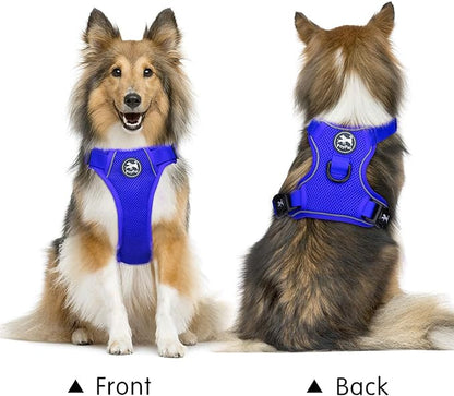 PoyPet Reflective Soft Breathable Mesh Dog Harness Choke-Free Double Padded Vest with Adjustable Neck and Chest(Royal Blue,XL)