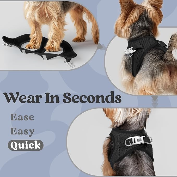 rabbitgoo Small Dog Harness, Step-in Soft Mesh Puppy Vest with Safety Buckle, Breathable Reflective Pet Harness for Large Dogs, Black XXL