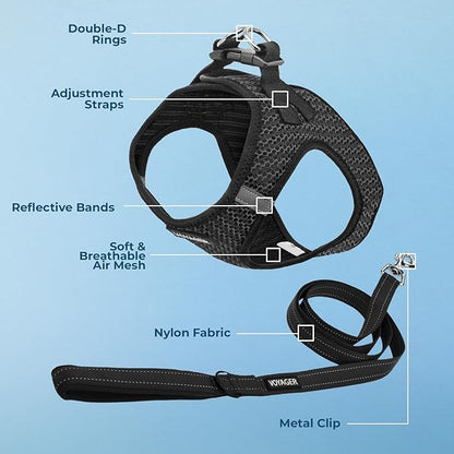 Best Pet Supplies Voyager Step-in Air All Weather Mesh Harness and Reflective Dog 5ft Leash Combo with Neoprene Handle, for Small, Medium and Large Breed Puppies - Set (Gray 2-Tone), Medium