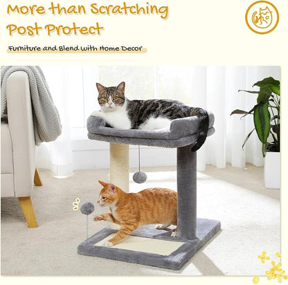 PAWZ Road Cat Scratching Post Bed, Small Cat Tree Tower with Cat Scratcher Pad Large Top Removable Bed with Play Ball Great for Kittens and Cats