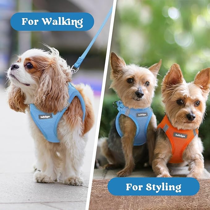 rabbitgoo Small Dog Harness, Step-in Soft Mesh Puppy Vest with Safety Buckle, Breathable Reflective Pet Harness for Extra Small Dogs, Blue XXS