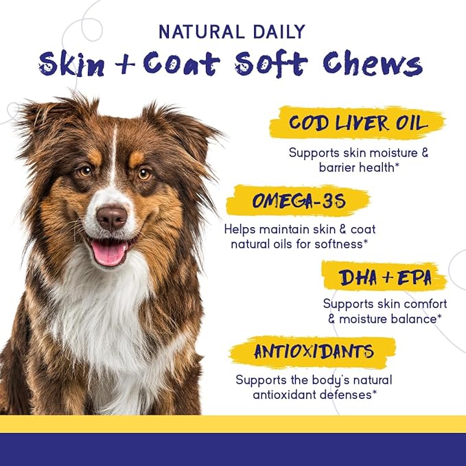 PupGrade Skin & Coat Soft Chew Supplement for Dogs – Supports Healthy Skin, Coat, and Immune Function - Rich in Natural Fish Oil, Omega Fatty Acids, and Vitamins – 360 Soft Chews