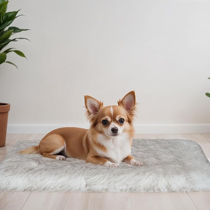 MAVERICK Premium Dog Bed, Orthopedic Dog Bed with High-Grade Memory Foam, Luxurious Faux Fur Sleep Surface, Water-Resistant Liner, Removable & Washable Cover, Non-Slip Bottom for Comfort & Support