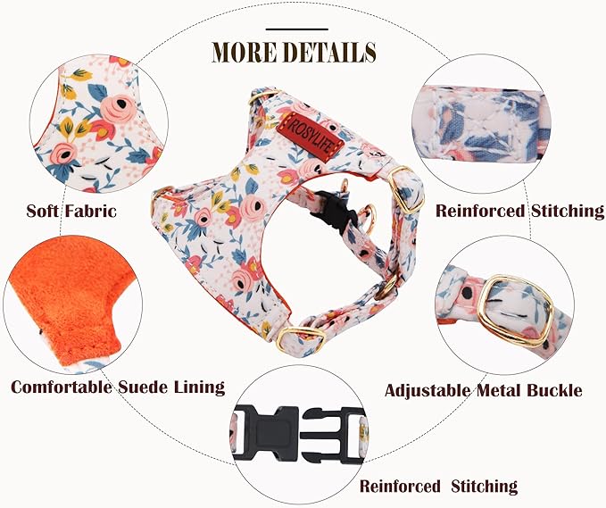 No Pull Dog Harness & Leash Set, Adjustable XX-Small, Orange Rose, Cute & Stylish, Escape Proof, Includes Leash