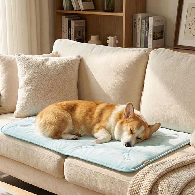 Self Cooling Mat for Dogs & Cats, 35x23 Soft Breathable Cold Crate Pad for Pet, Portable Washable Kennel Bed for Outdoor Summer with Non-Slip Bottom and Chill Cool Fiber, Sky Blue