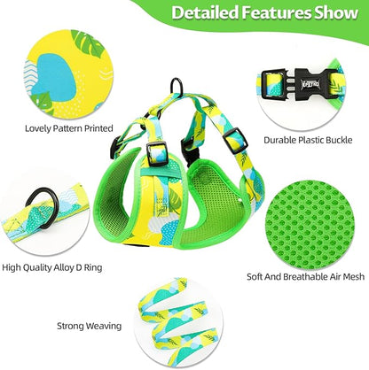 Small Dog Harness and Leash Set of 6, No Pull Soft Lightweight Mesh Puppy Harness， Adjustable Cute Floral Pattern Pet Harness for Small Medium Dogs (Green Leaf, XS)