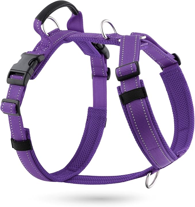 No Pull Dog Harness with Handle, Soft Mesh Padded Adjustable for Small Medium Large Dogs | Reflective Easy Walk Harness with Front Clip for Training, Running & Outdoor (Purple, S)