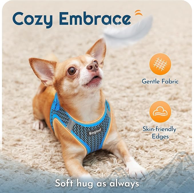 Eagloo Small Dog Harness and Leash Set, Step in Puppy Vest with Breathable Soft Mesh, Walking Reflective Pet Harness for Small Dogs, Blue, S