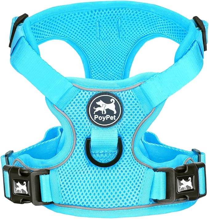 PoyPet Reflective Soft Breathable Mesh Dog Harness No Choke Double Padded Vest Adjustable(Light Blue,XL)
