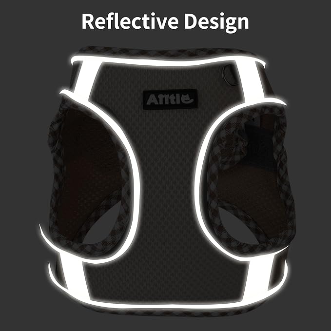 AIITLE XXS Dog Harness & Leash Set - Breathable Reflective No-Choke Small Dog Harness for Teacup Puppies, Indoor/Outdoor Use - Boston Terrier, Maltese, Chihuahua (Orange, XXS)